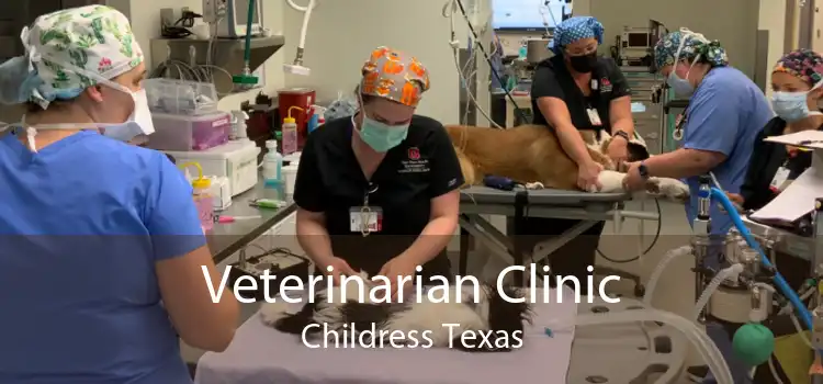 Veterinarian Clinic Childress Texas