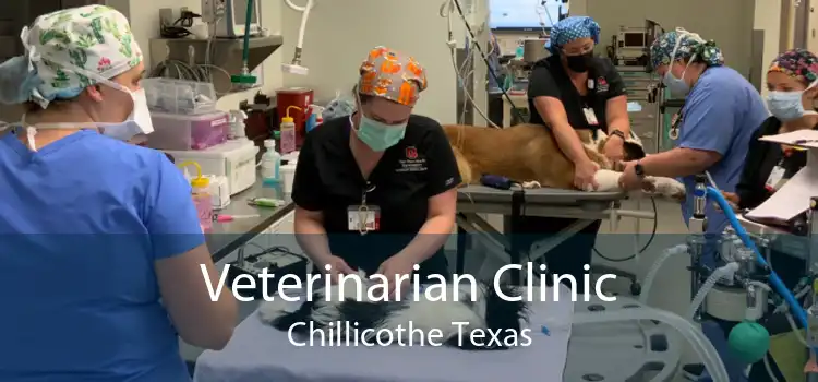 Veterinarian Clinic Chillicothe Texas