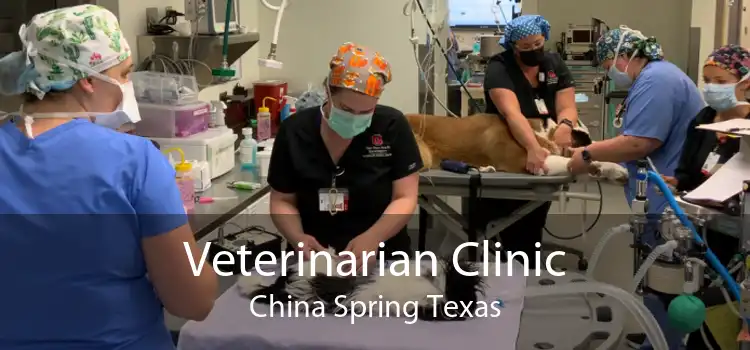 Veterinarian Clinic China Spring Texas