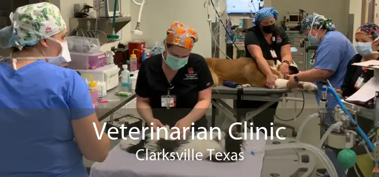 Veterinarian Clinic Clarksville Texas