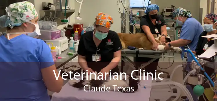 Veterinarian Clinic Claude Texas