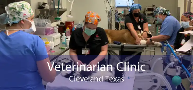 Veterinarian Clinic Cleveland Texas