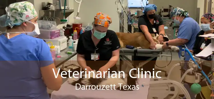 Veterinarian Clinic Darrouzett Texas