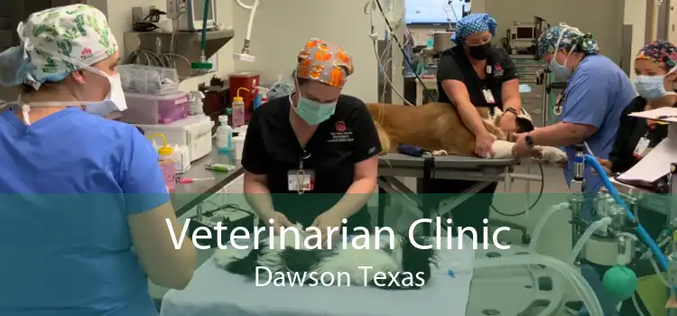 Veterinarian Clinic Dawson Texas