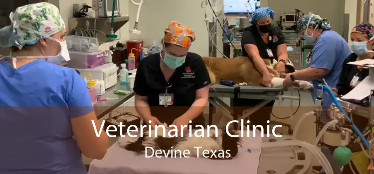 Veterinarian Clinic Devine Texas