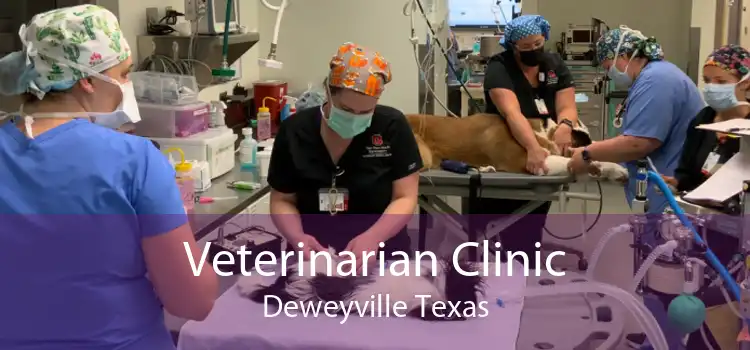 Veterinarian Clinic Deweyville Texas