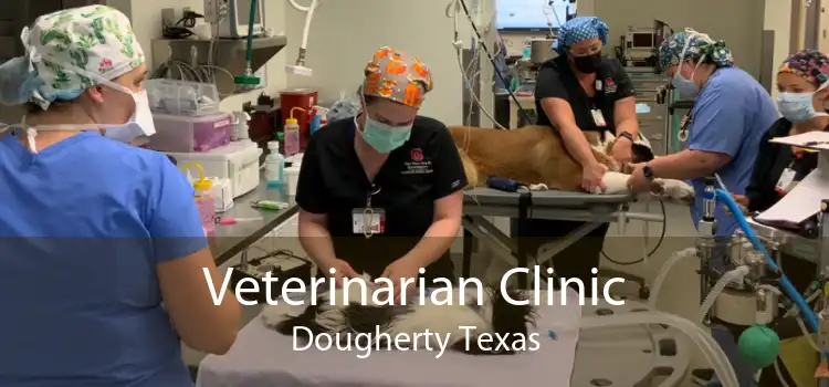 Veterinarian Clinic Dougherty Texas