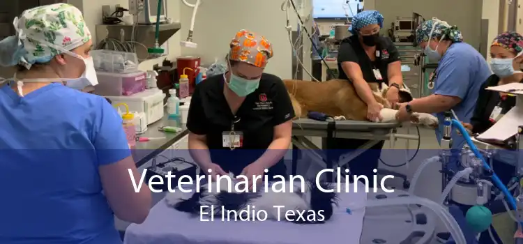 Veterinarian Clinic El Indio Texas