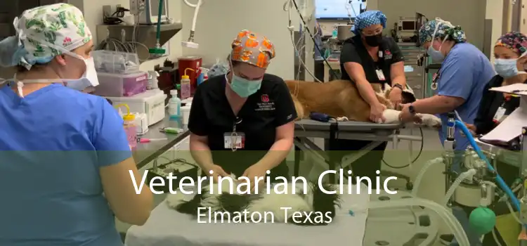 Veterinarian Clinic Elmaton Texas