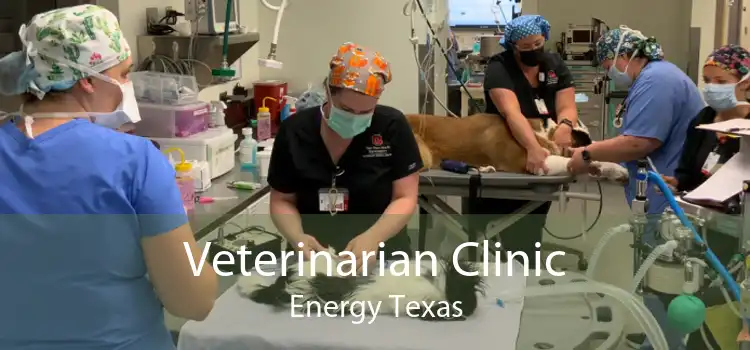 Veterinarian Clinic Energy Texas