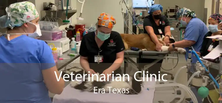 Veterinarian Clinic Era Texas