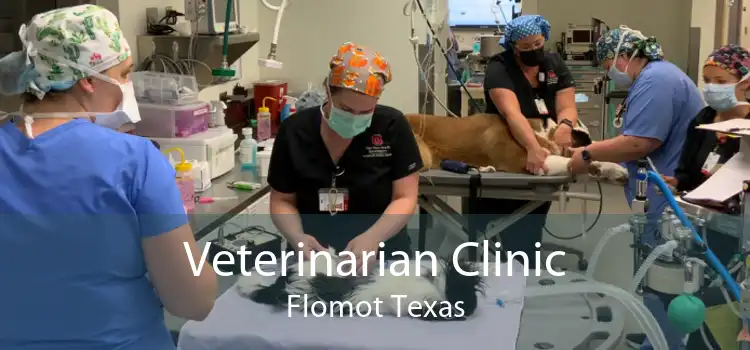 Veterinarian Clinic Flomot Texas