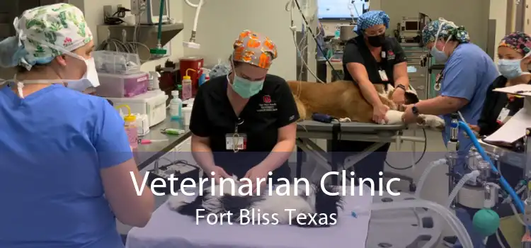 Veterinarian Clinic Fort Bliss Texas