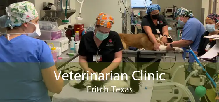 Veterinarian Clinic Fritch Texas