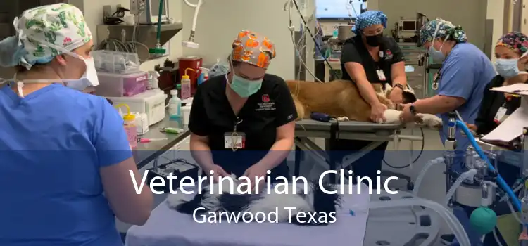 Veterinarian Clinic Garwood Texas