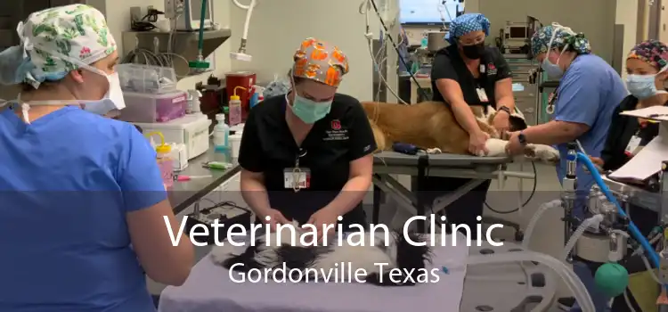 Veterinarian Clinic Gordonville Texas