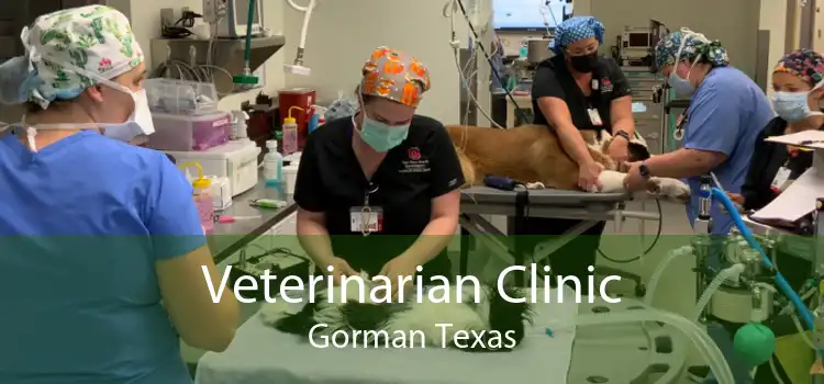 Veterinarian Clinic Gorman Texas