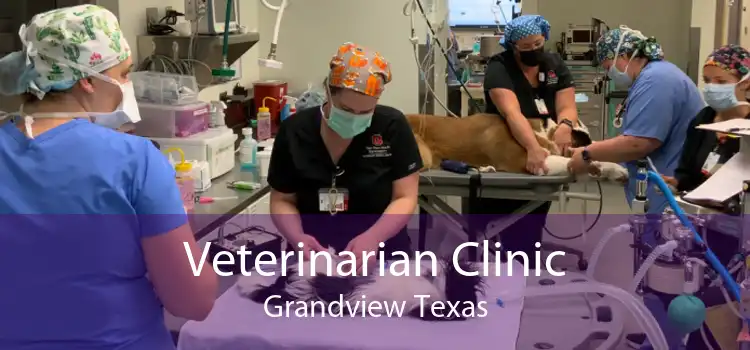 Veterinarian Clinic Grandview Texas