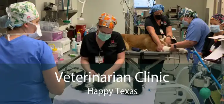 Veterinarian Clinic Happy Texas