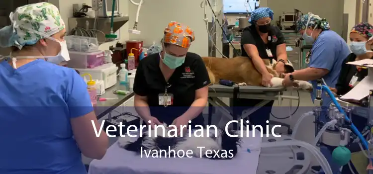 Veterinarian Clinic Ivanhoe Texas