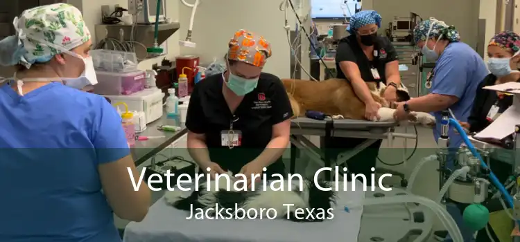 Veterinarian Clinic Jacksboro Texas