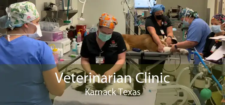 Veterinarian Clinic Karnack Texas