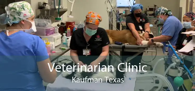 Veterinarian Clinic Kaufman Texas