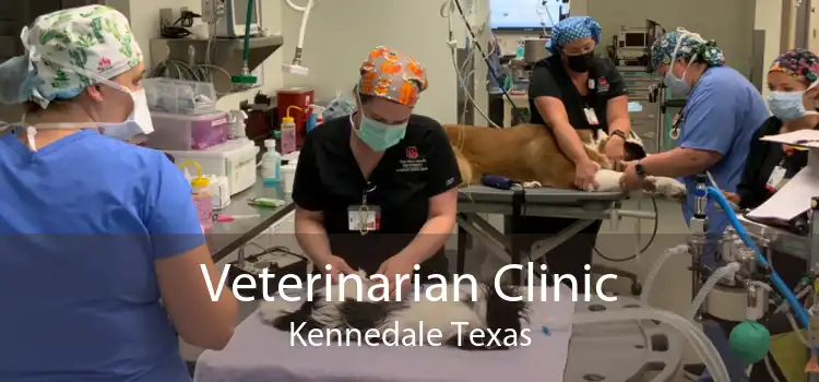 Veterinarian Clinic Kennedale Texas