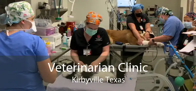 Veterinarian Clinic Kirbyville Texas