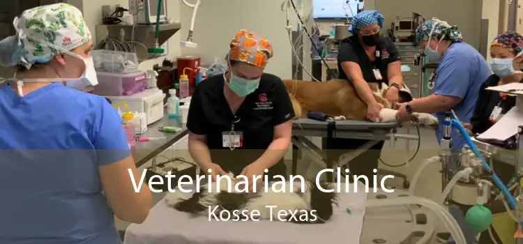 Veterinarian Clinic Kosse Texas