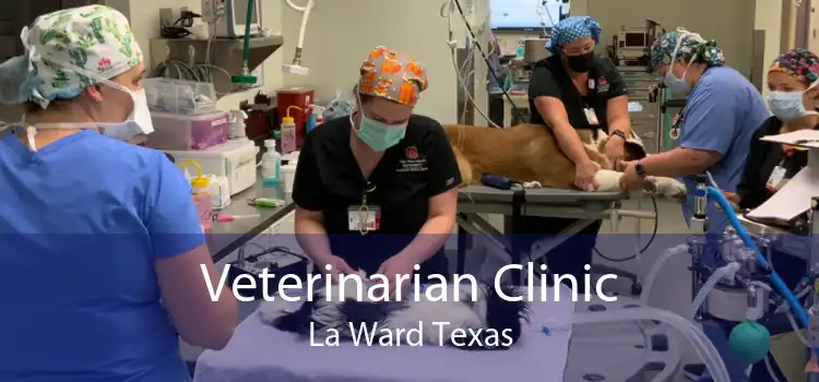 Veterinarian Clinic La Ward Texas