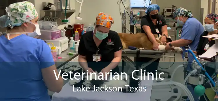 Veterinarian Clinic Lake Jackson Texas