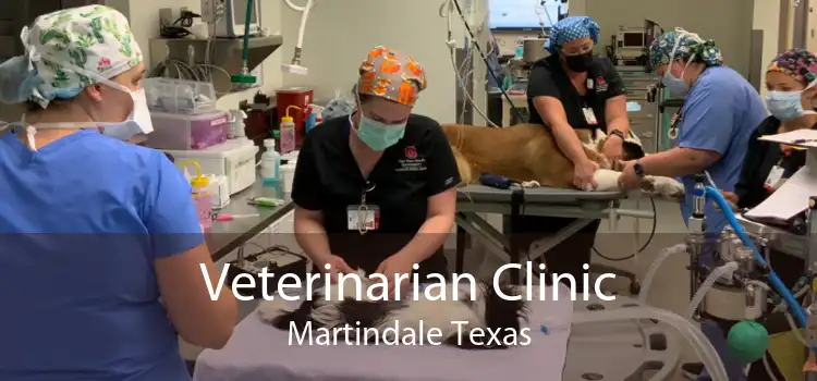 Veterinarian Clinic Martindale Texas