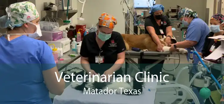 Veterinarian Clinic Matador Texas