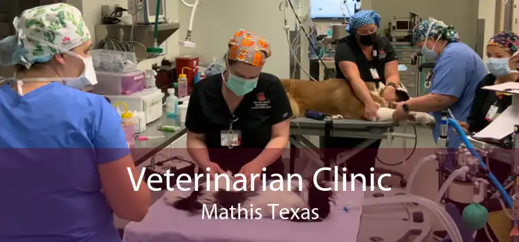 Veterinarian Clinic Mathis Texas