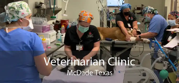 Veterinarian Clinic McDade Texas