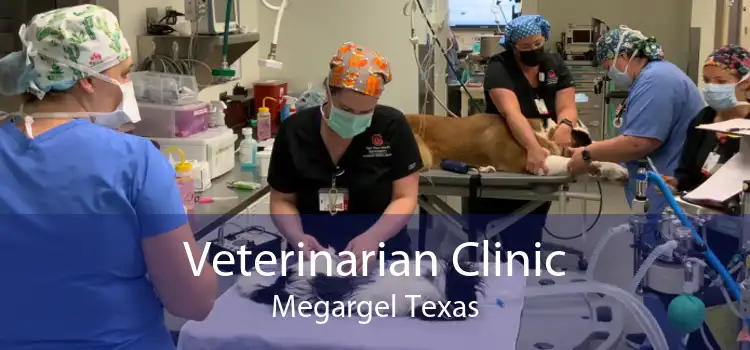 Veterinarian Clinic Megargel Texas