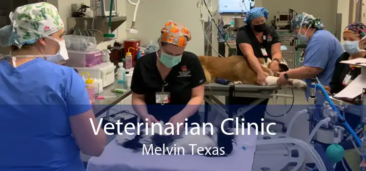 Veterinarian Clinic Melvin Texas