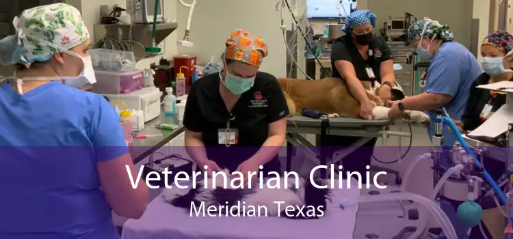 Veterinarian Clinic Meridian Texas