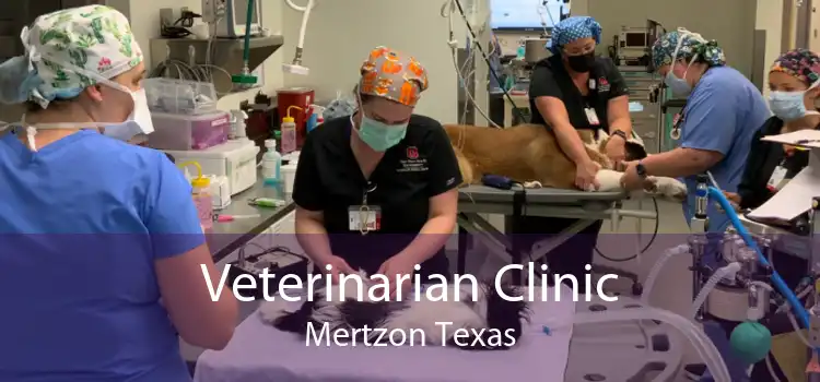 Veterinarian Clinic Mertzon Texas