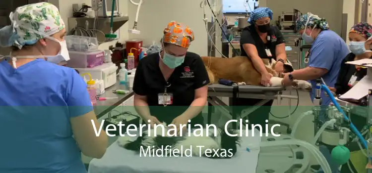 Veterinarian Clinic Midfield Texas