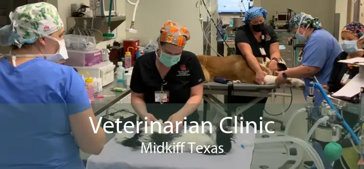 Veterinarian Clinic Midkiff Texas