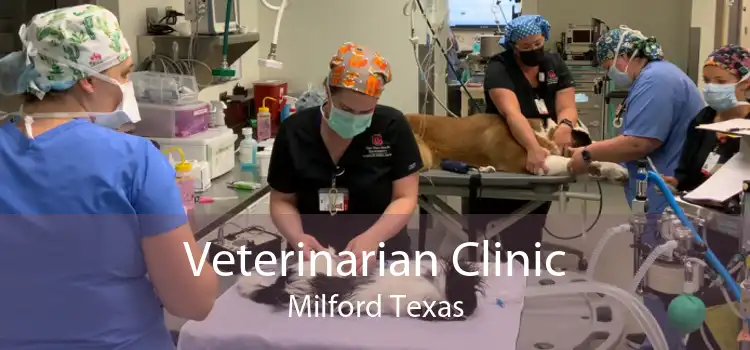 Veterinarian Clinic Milford Texas