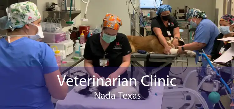 Veterinarian Clinic Nada Texas