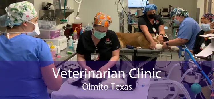 Veterinarian Clinic Olmito Texas