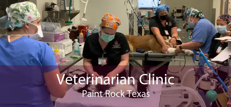 Veterinarian Clinic Paint Rock Texas