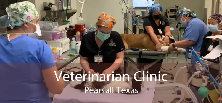 Veterinarian Clinic Pearsall Texas