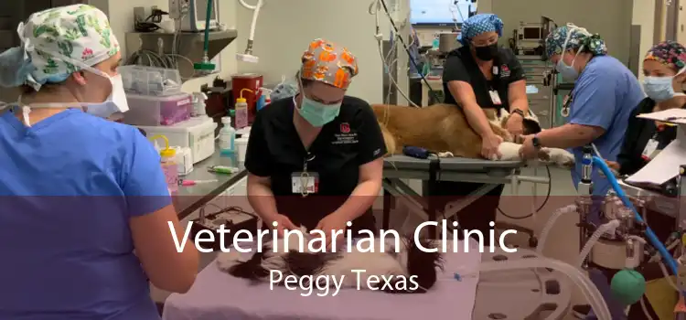 Veterinarian Clinic Peggy Texas