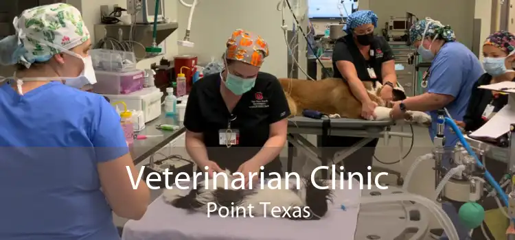 Veterinarian Clinic Point Texas