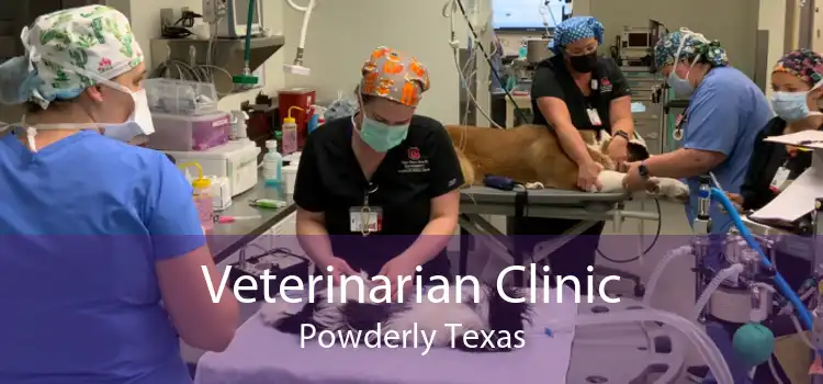 Veterinarian Clinic Powderly Texas